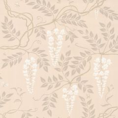 Cole and Son Egerton Stone 100-9046 Archive Anthology Collection Wall Covering