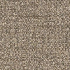 Perennials in the Loop Rhino 982-327 No Hard Feelings Collection Upholstery Fabric