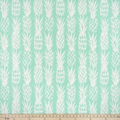 Premier Prints Pineapple Surfside / Luxe Polyester Boardwalk Outdoor Collection Indoor-Outdoor Upholstery Fabric