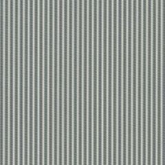 Perennials Ticking Stripe Breakers 805-261 Camp Wannagetaway Collection Upholstery Fabric