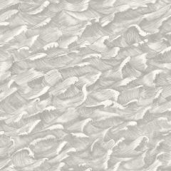 Cole and Son Columbus Black / White 103-13055 Whimsical Collection Wall Covering