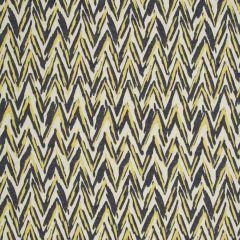 Robert Allen Sena Admiral 239375 Modern Archive Collection by DwellStudio Indoor Upholstery Fabric