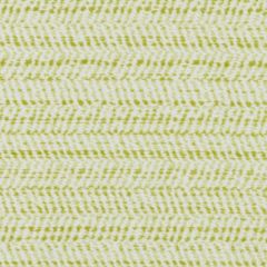 Duralee Cline-Cactus by Tilton Fenwick 15638-343 Decor Fabric
