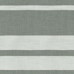 Perennials Little Big Stripe Platinum 530-207 Kidding Around Collection Upholstery Fabric