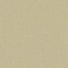 Kravet Design Grana Beige 1116 Ultraleather Plus Upholstery Fabric