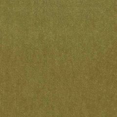 Stout Moore Chive 29 Timeless Velvets Collection Indoor Upholstery Fabric