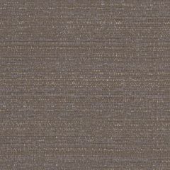 Perennials Crepe Du Jour Sable 973-244 Camp Wannagetaway Collection Upholstery Fabric