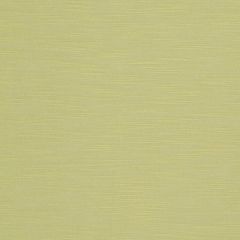Robert Allen Silky Slub Spring Grass 240002 Lustrous Solids Collection Indoor Upholstery Fabric
