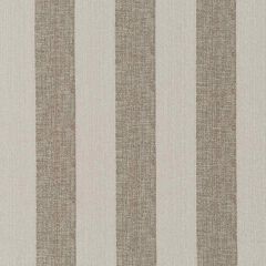 Robert Allen Adios Oyster 508728 Epicurean Collection Indoor Upholstery Fabric