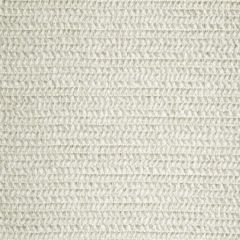 Beacon Hill Hunter Weave Platinum 243900 Plush Chenille Solids Collection Indoor Upholstery Fabric