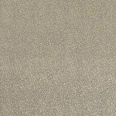 Clarke and Clarke Isla Taupe / Gold F1091-03 Botanica Fabric Collection Upholstery Fabric