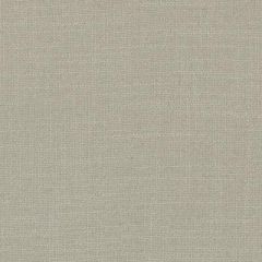 Duralee Latte 32824-587 Decor Fabric