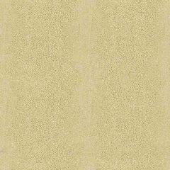 Kravet Couture Chic Shagreen White Gold 32727-4 Modern Luxe Collection Indoor Upholstery Fabric