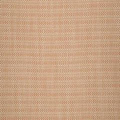 Robert Allen Balance Coral Reef 241090 Botanical Color Collection Indoor Upholstery Fabric