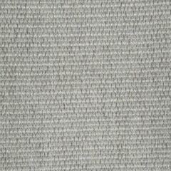 Beacon Hill Pebble Weave Warm Gray 241413 Plush Boucle Solids Collection Indoor Upholstery Fabric