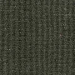 ABBEYSHEA Stardust 903 Charcoal Indoor Upholstery Fabric