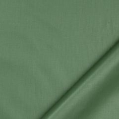 Robert Allen Ultima-Parsley 094390 Decor Multi-Purpose Fabric