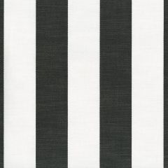 Perennials Go to Stripe Noir 570-16 Natural Selection Collection Upholstery Fabric