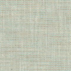 Duralee Aqua/Cocoa 36295-680 Decor Fabric