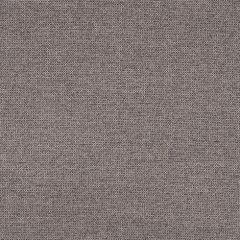 Sunbrella Rally Graphite 87005-0009 Transcend Collection Upholstery Fabric