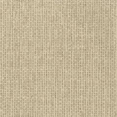 Kravet Raffia Taupe AMW10034-106 Andrew Martin Museum Collection Wall Covering