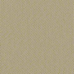 Sunbrella Robben Lichen ROB R002 140 European Collection Upholstery Fabric