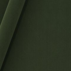 Robert Allen Forever Velvet-Evergreen 245472 Decor Upholstery Fabric