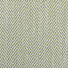Duralee Peridot 32674-579 Decor Fabric