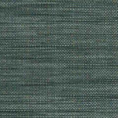 Robert Allen Ultimate Shade Denim 214688 Crypton Transitional Collection  Indoor Upholstery Fabric