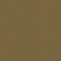 Lee Jofa Twickenham Gingerbread 2016120-6 Indoor Upholstery Fabric