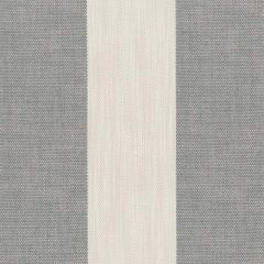 Perennials Vintage Stripe Platinum 865-207 Camp Wannagetaway Collection Upholstery Fabric