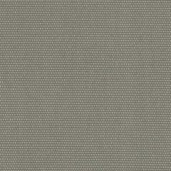 Perennials Canvas Weave Nickel 600-296 More Amore Collection Upholstery Fabric