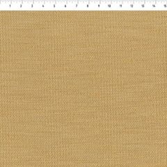 Perennials Tres Chic Sunshine 921-130 Bannenberg and Rowell Collection Upholstery Fabric