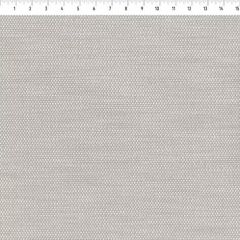 Perennials Tres Chic Bone 921-202 Bannenberg and Rowell Collection Upholstery Fabric