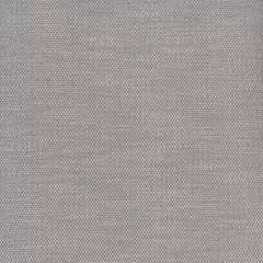 Perennials Tres Chic Nickel 921-296 Bannenberg and Rowell Collection Upholstery Fabric