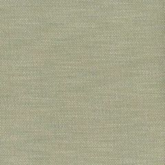 Perennials Tres Chic Seedling 921-747 Bannenberg and Rowell Collection Upholstery Fabric