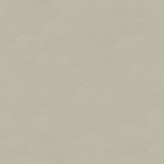 Kravet Couture 56926 Pearl L-Cavesson by Barbara Barry Indoor Upholstery Fabric