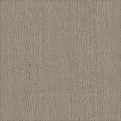 Tempotest Home Toffee 929/926 120-inch Etamine Collection Indoor - Outdoor Drapery Fabric