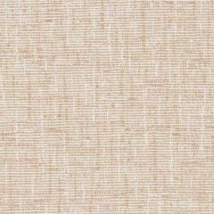 By the Roll - Patio Lane Sand Stone Living Paradise Outdoor Upholstery Fabric