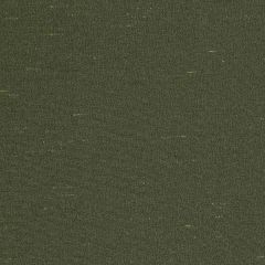 Robert Allen Contract Luxurious Look-Olive 224368 Decor Drapery Fabric