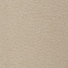 Robert Allen Wild Chenille Natural Performance Chenille Collection Indoor Upholstery Fabric