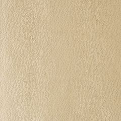 Kravet Design Kerinci Gold Dust 116 Performance Sta-Kleen Collection Indoor Upholstery Fabric