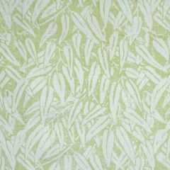 Lee Jofa Willow Lime BFC-3513-23 Blithfield Collection Multipurpose Fabric