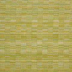 Bella Dura Tennessee Key Lime 32486F8-4 Upholstery Fabric