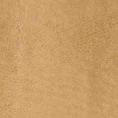 Kravet Contract Rebel Praline 16 Sta-Kleen Collection Indoor Upholstery Fabric