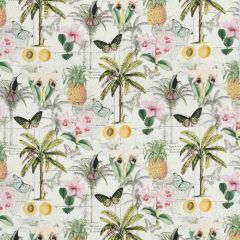 Baker Lifestyle Orinoco Tropical PP50434-1 Carnival Collection Multipurpose Fabric