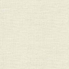 Kravet Basics White 8620-101 Natural Embellishments III Collection Drapery Fabric