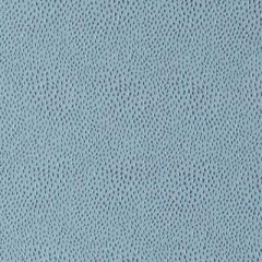 Duralee Aquamarine 32812-260 Decor Fabric