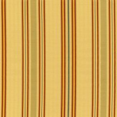 F. Schumacher Biella Silk Stripe Spice 62183 Chroma Collection
