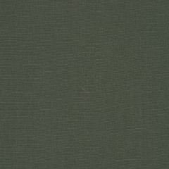 Beacon Hill Linseed Solid-Evergreen 230734 Decor Upholstery Fabric